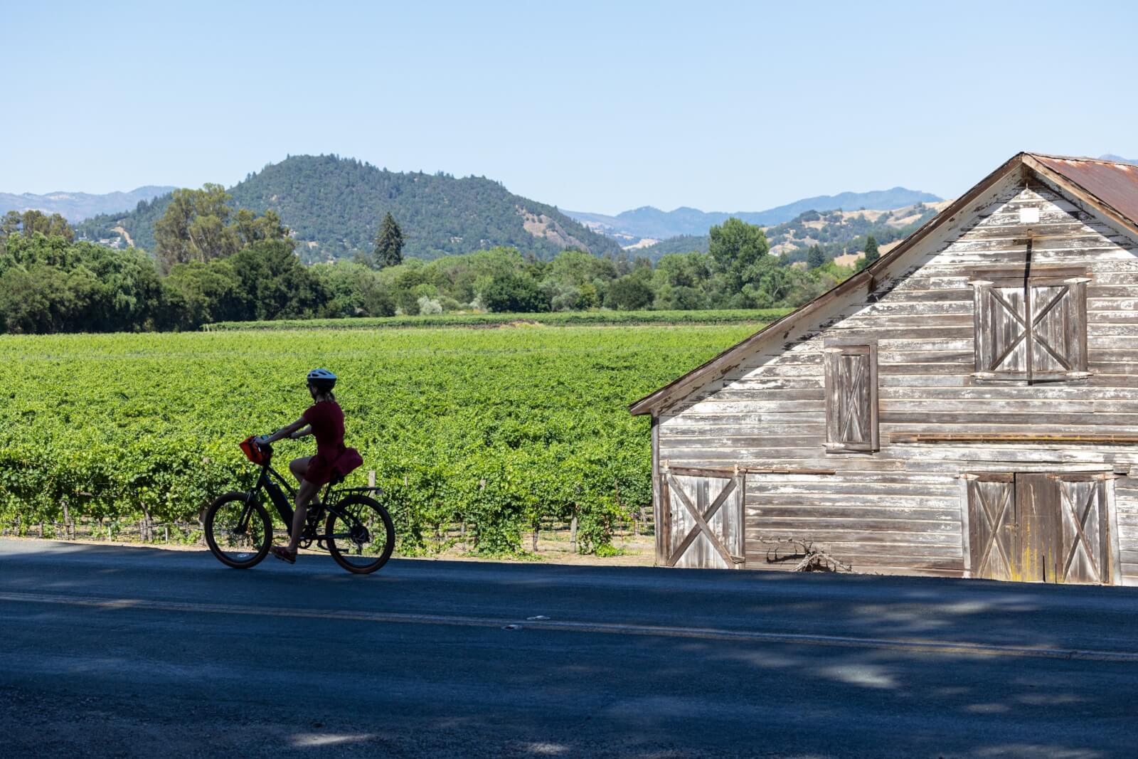 Tour en bicicleta Sip 'n Cycle A cyclist rides along a rural road beside a vast vineyard and an old wooden barn in Healdsburg, California.