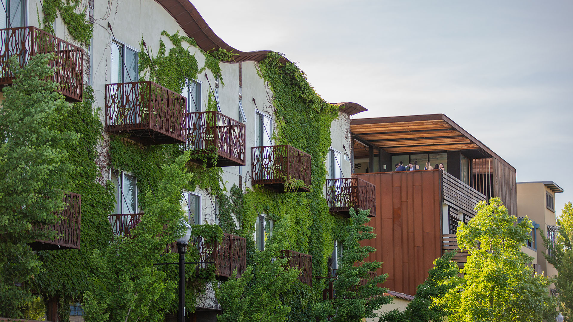 Contacto A modern building with balconies covered in lush green ivy, surrounded by trees in Healdsburg, California.