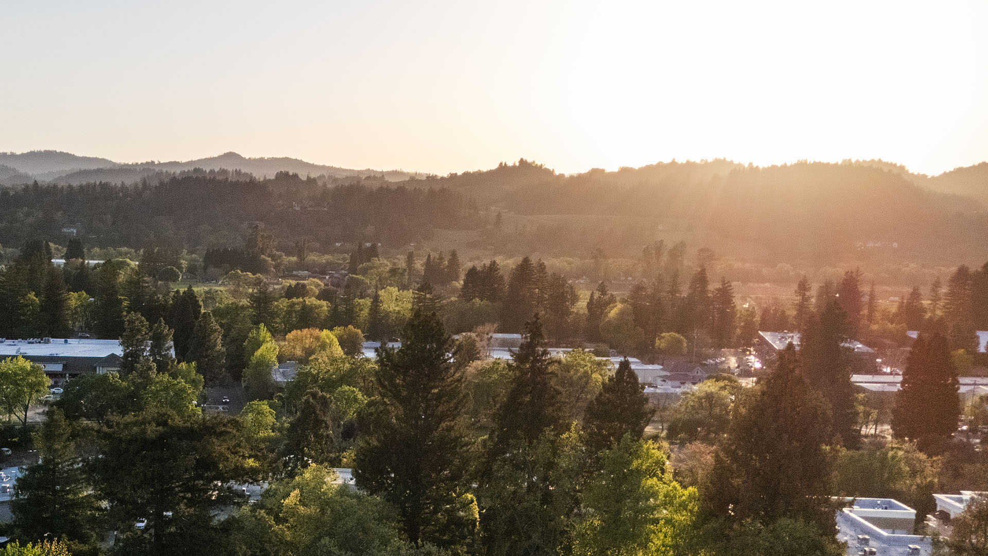 Getting Here Sunrise over a forested valley with scattered buildings and distant mountains in Healdsburg, California.