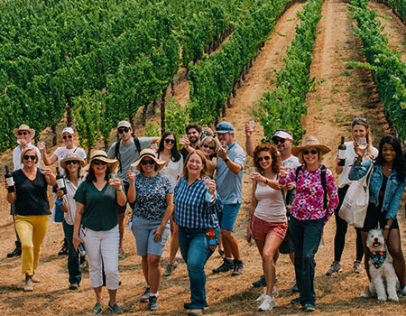 A group of people in hats and sunglasses, some with dogs, standing in a vineyard holding wine glasses in Healdsburg, California.