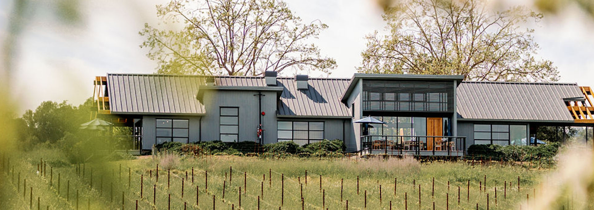 A modern, gray house with a slanted roof and large windows overlooks a vineyard in Healdsburg, California.