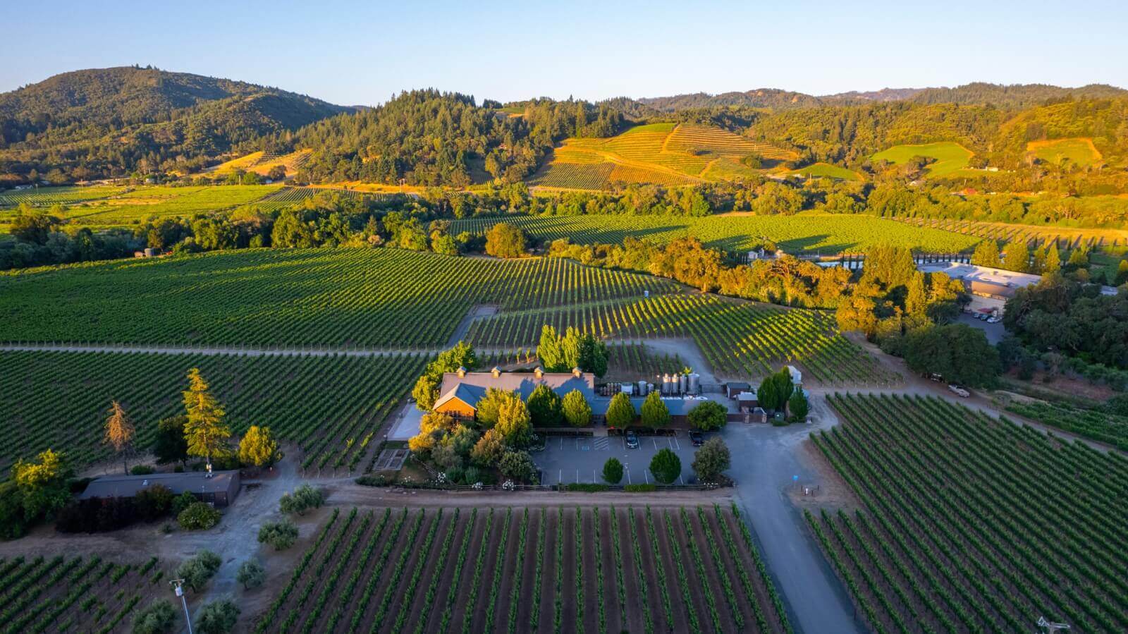 A picturesque vineyard with rolling green hills, a quaint farmhouse, and a clear blue sky in Healdsburg, California.