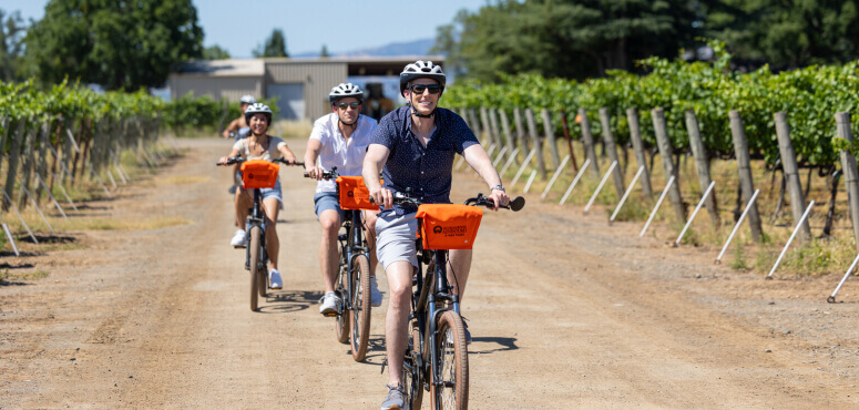 A group of cyclists wearing helmets and orange vests ride through a lush vineyard on a sunny day in Healdsburg, California.