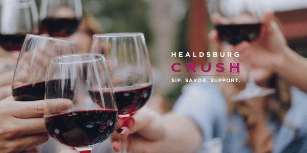 A group of friends toasting with red wine glasses at a social gathering in Healdsburg, California.
