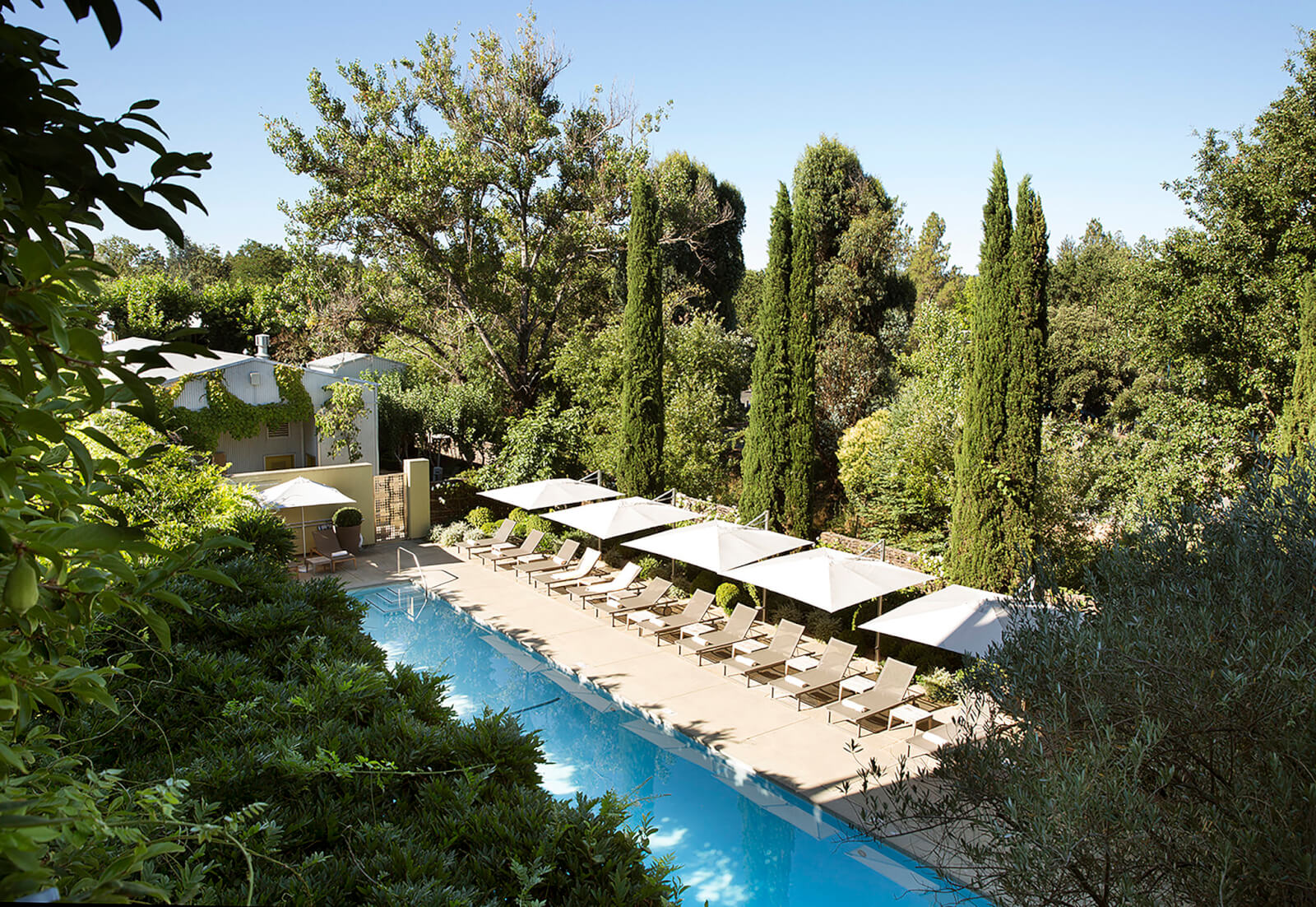 A serene outdoor swimming pool surrounded by lush greenery and shaded by white umbrellas, with a nearby building partially obscured by trees in Healdsburg, California.