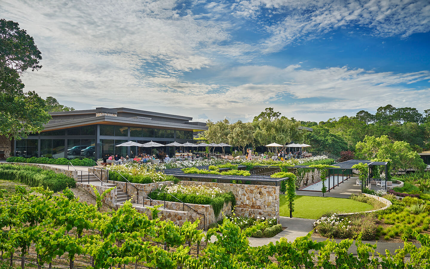A sprawling outdoor dining area with stone walls and lush gardens overlooks a picturesque vineyard and modern building in Healdsburg, California.