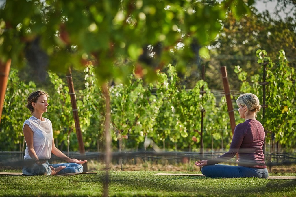 Wine Country Wellness Weekend