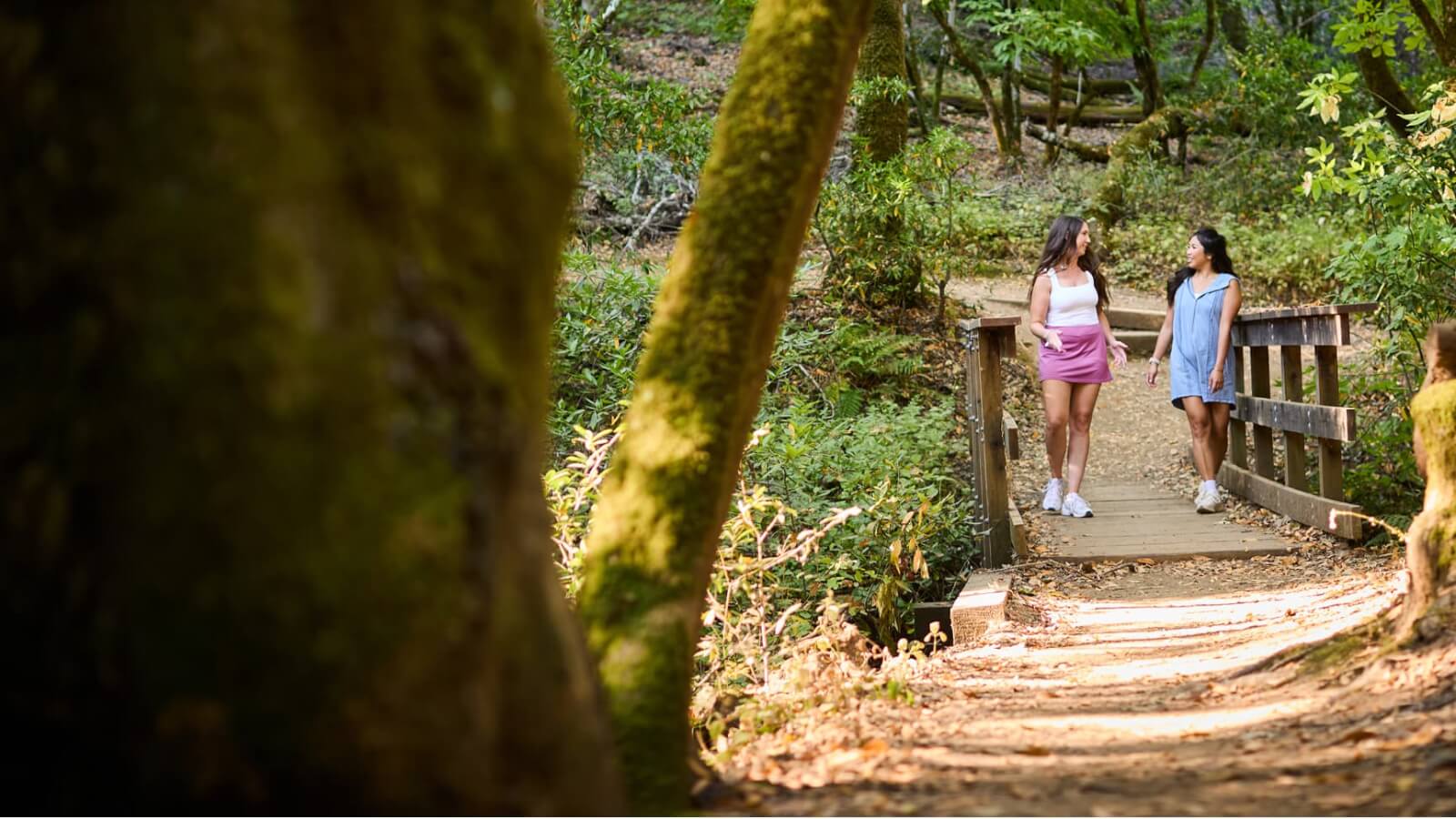 Outdoor & Wellness Two women walk across a wooden bridge in a lush forest, enjoying a sunny day outdoors in Healdsburg, California.