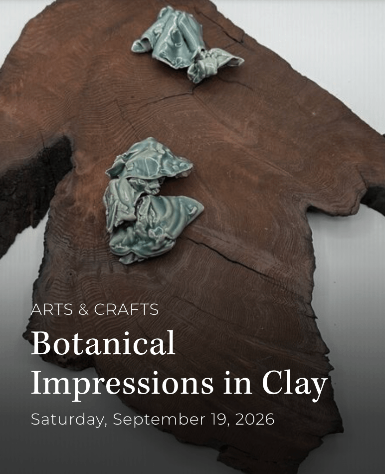 A Botanical Clay Workshop- Vineyard Impressions by Meagen Svendsen