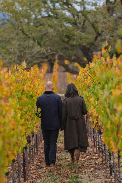 Montage Healdsburg Montage Healdsburg