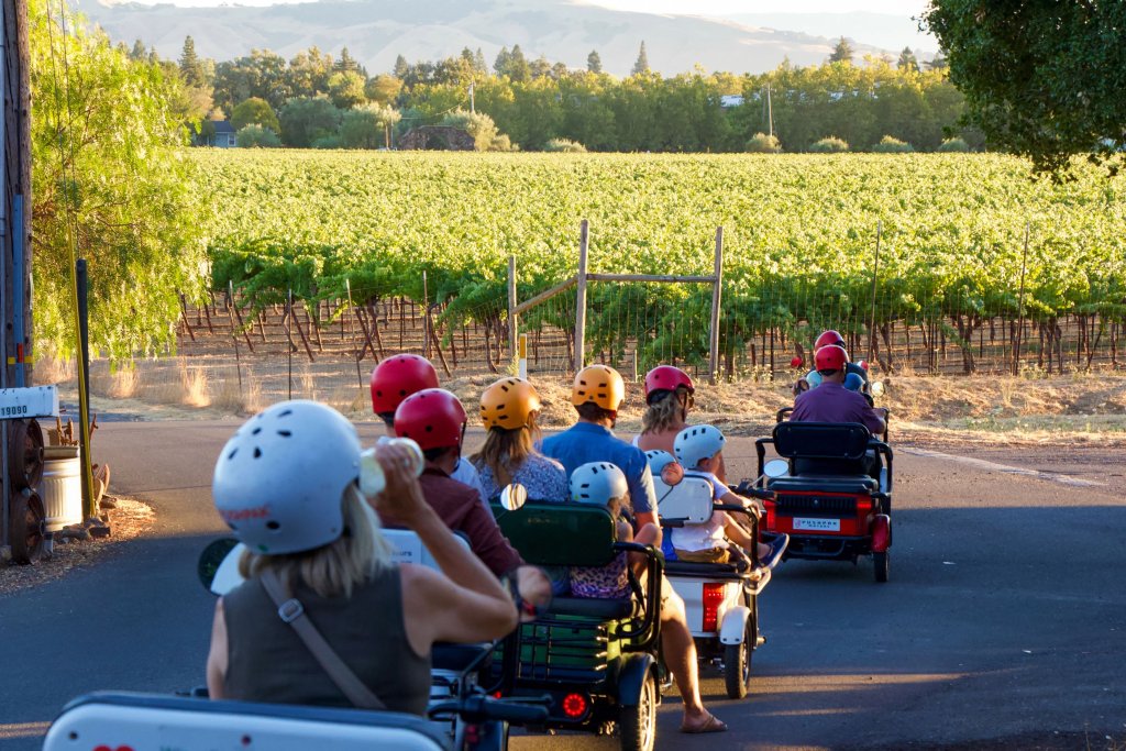 Pushpak Wine Country Tours